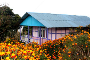 Khawas homestay cottage